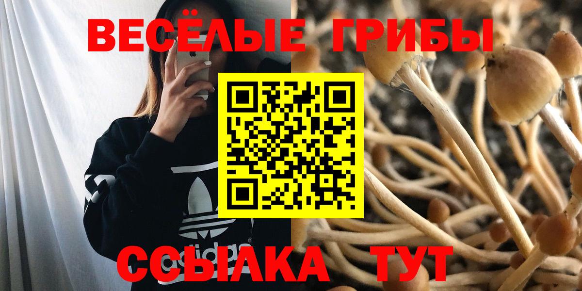 Добрянка  Галлюциногенные грибы Psilocybe  Вход с VPN 