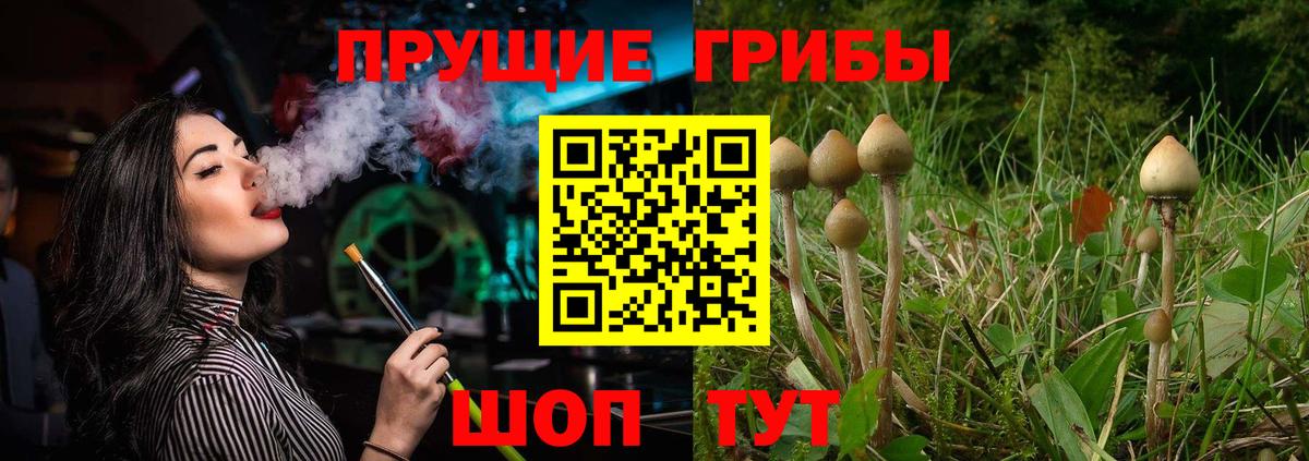 Псилоцибиновые грибы мицелий Добрянка